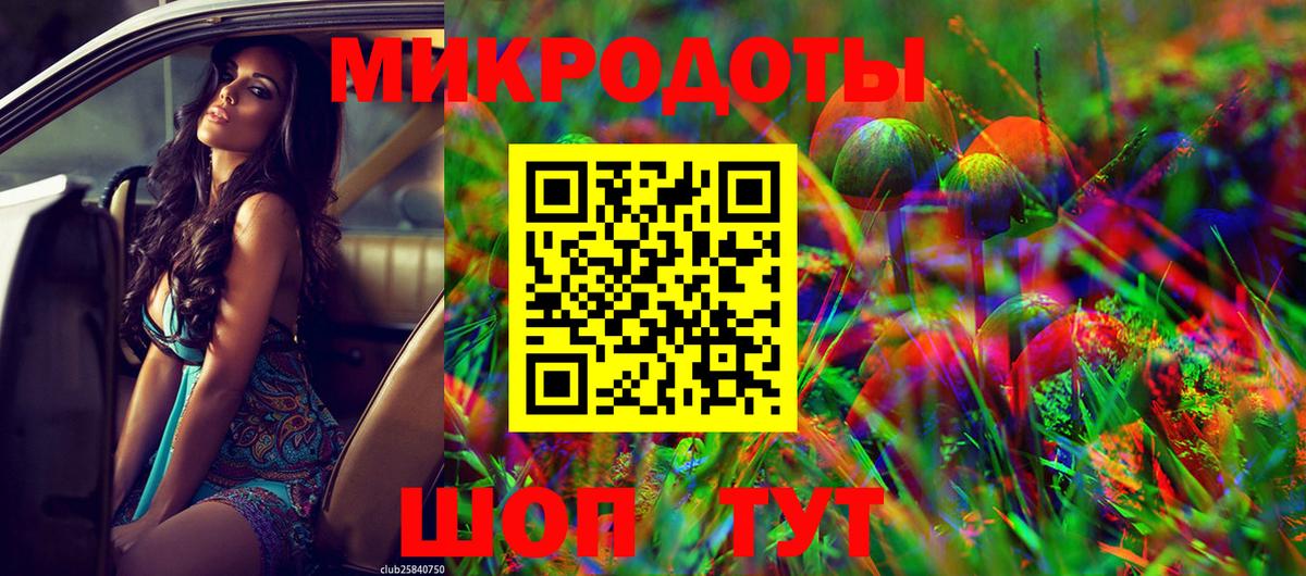 Галлюциногенные грибы Psilocybine cubensis  Коркино 