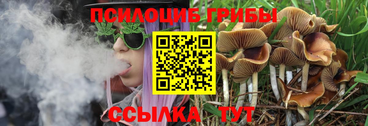 Галлюциногенные грибы мухоморы Коркино
